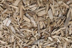 biomass boilers Noonsun